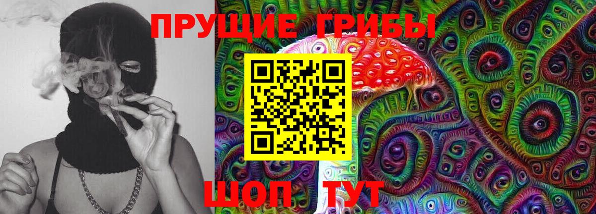Соль-Илецк  Псилоцибиновые грибы прущие грибы  Вход с VPN 